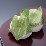 有機かしわ餅 贈答用9個入セット | SOILSTORE